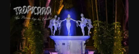 Spectacle Premium Tropicana avec dîner 